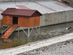 Anamur'da rdek Evi Yerletirildi